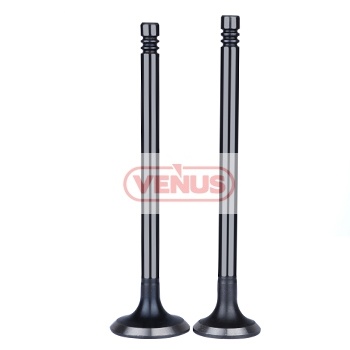 Engine_valve